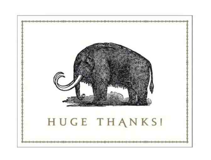 Alice Scott Greeting Card Assortment in Decorative Box