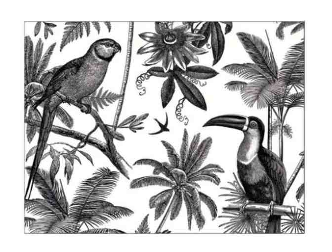 Alice Scott Greeting Card Assortment in Decorative Box