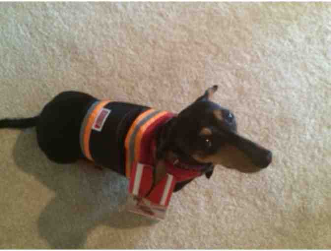 Kong Safety Vest (Size XS)