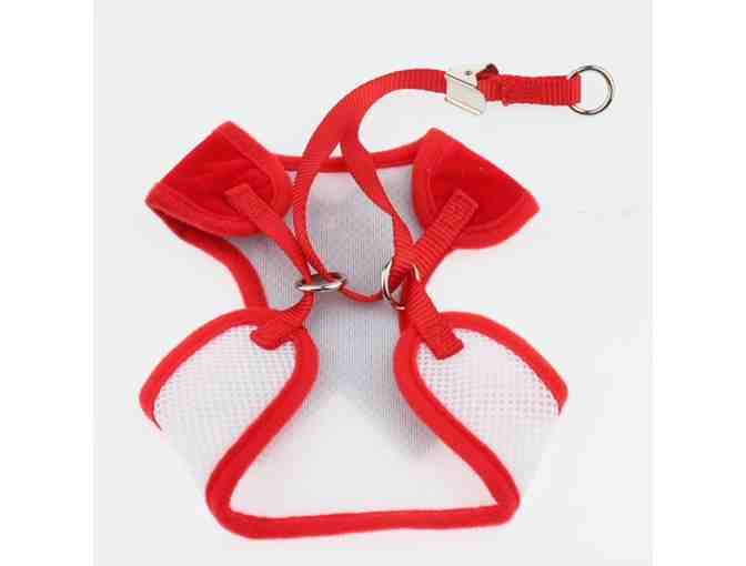 Dog Vest Harness and Leash! Size Large