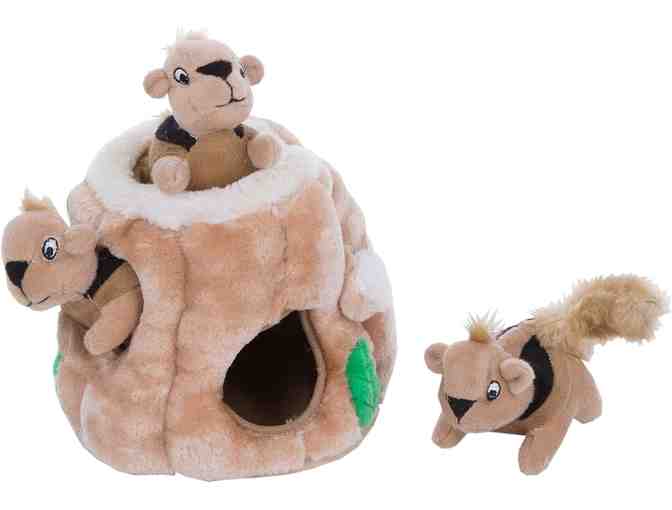 Outward Hound Hide A Squirrel Plush Dog Toy Puzzle, Small - Photo 1