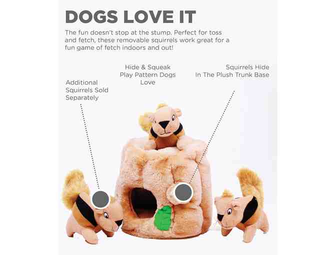 Outward Hound Hide A Squirrel Plush Dog Toy Puzzle, Small - Photo 3