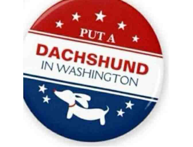 Dachshund in Washington "Political" Button Pin - Photo 1