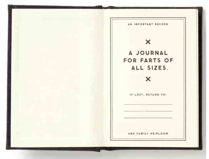 'A Tiny Fart Diary' by Brass Monkey (Set of 2)