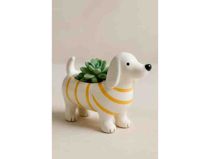 Ceramic Dachshund Planter