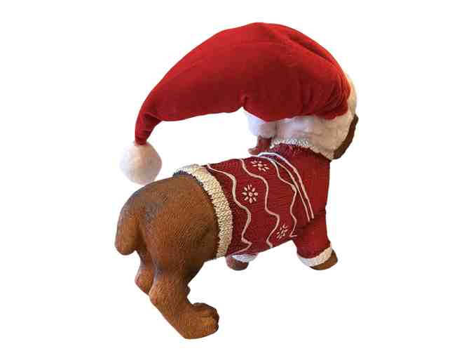 Christmas Dachshund! Decked out in his sweater and santa hat!