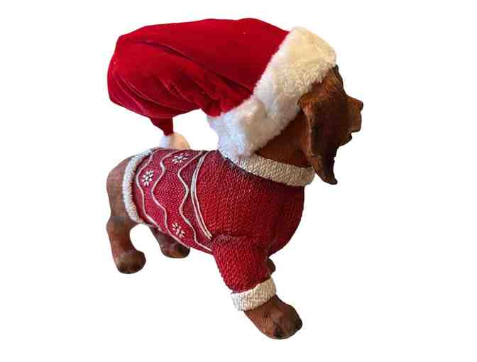 Christmas Dachshund! Decked out in his sweater and santa hat!