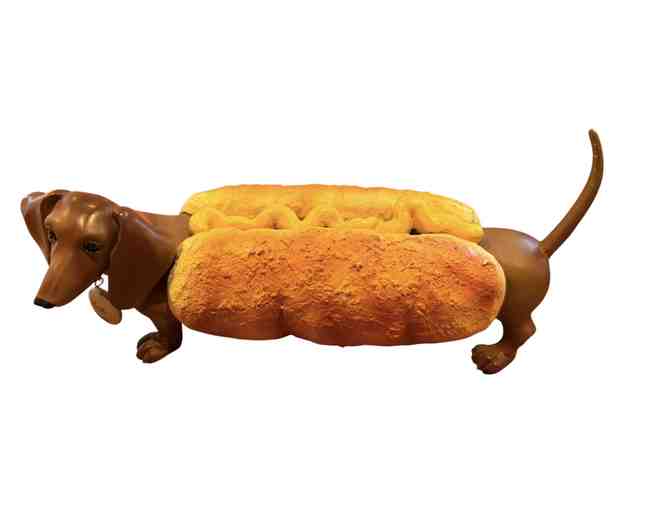 Hot Diggity Dog Dachshund 'Hot Dog' #16508