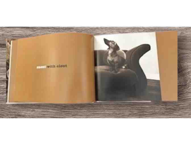 Day of the Dachshund by Jim Dratfield - Hardcover Book