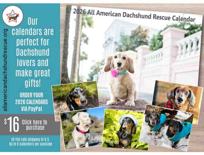 2026 All American Dachshund Rescue Calendar!!!