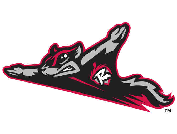 4 Pack Field Level Tickets to a Richmond Flying Squirrels Baseball Game