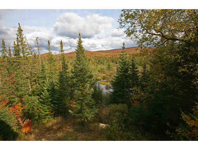 Four (4) Nights Lodging at Placidmere Lodge (custom home)/Lake Placid in 2019