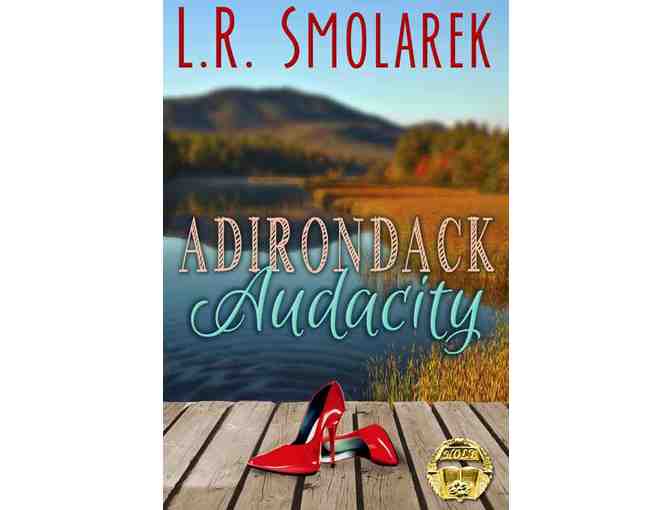 Adirondack for Ladies novels