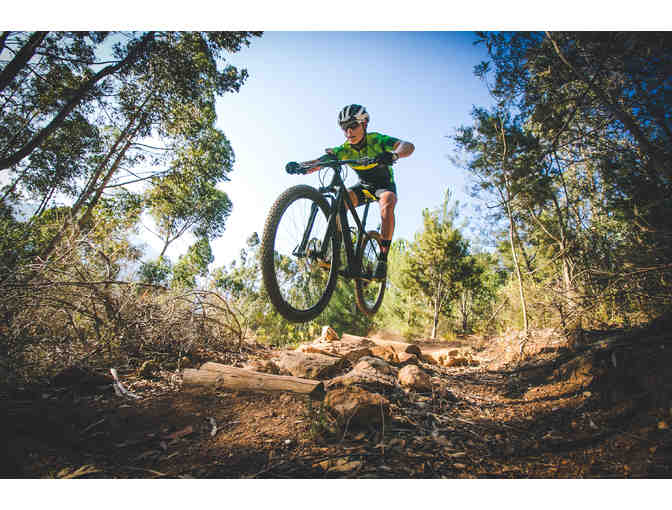 Montana Mountain Fun Awaits - Whitefish, MT - Land Only