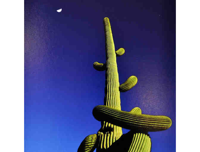Desert Themed Matted Trio - Original Photos by Jim Eaton