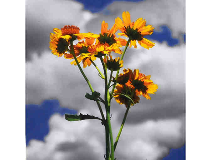 Desert Themed Matted Trio - Original Photos by Jim Eaton