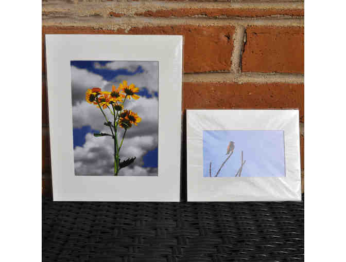 Desert Themed Matted Trio - Original Photos by Jim Eaton