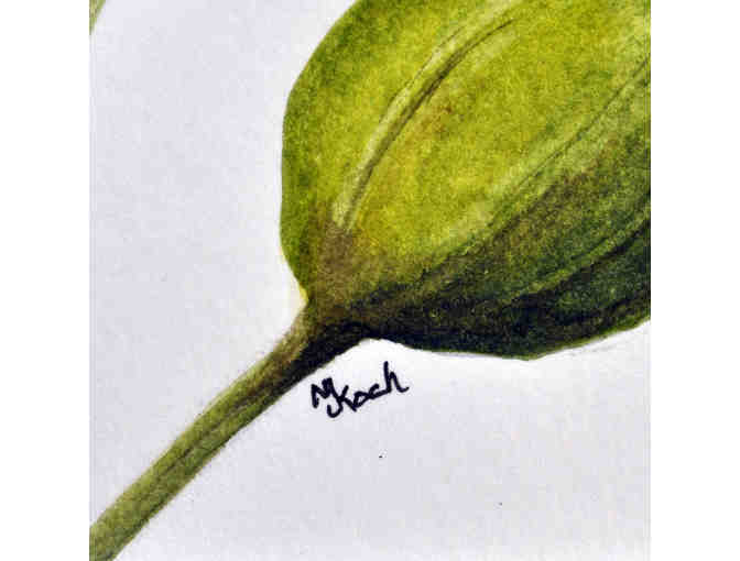 Watercolor - Hibiscus Flowers - Matted/Unframed by Marlene Koch