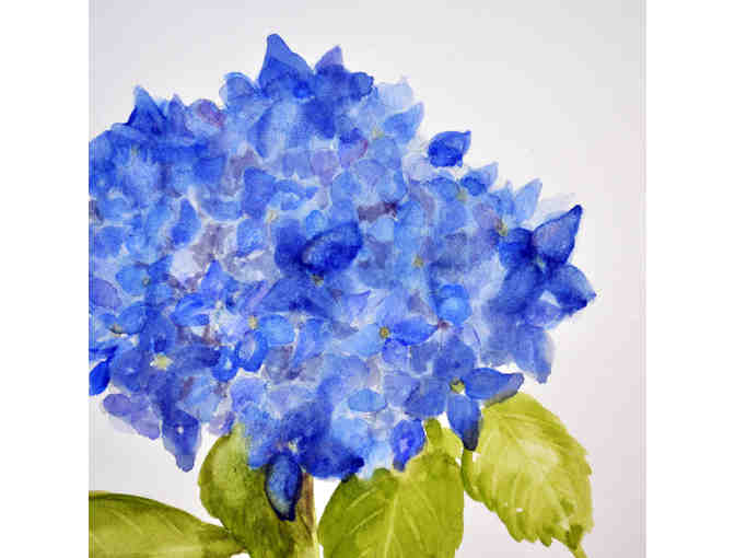 Watercolor - Hydrangea Flowers - Matted/Unframed by Marlene Koch