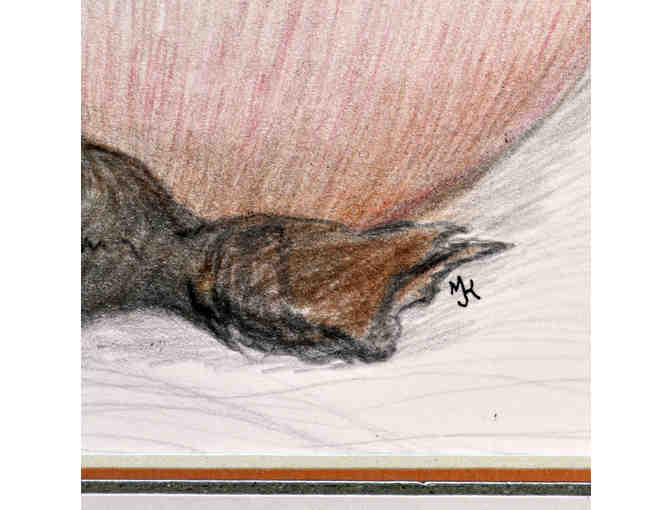 Watercolor - Native Still Life - Matted/Unframed by Marlene Koch