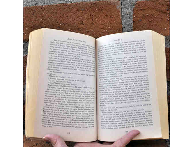 James Herriot's Dog Stories