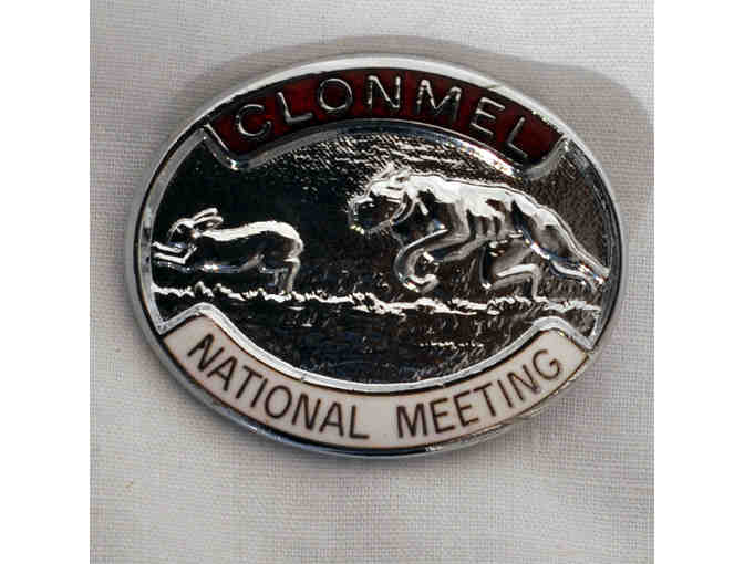 Collector Lapel Pins - 2 Enamel On Pewter National Meeting Pins