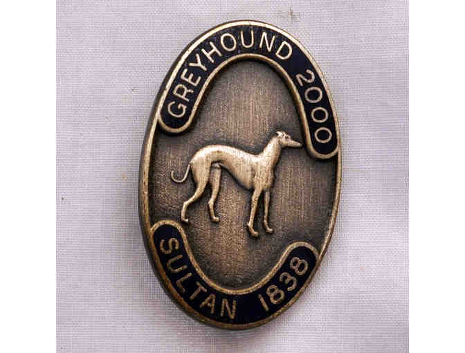 Collector Lapel Pins - 2 Enamel On Pewter National Meeting Pins