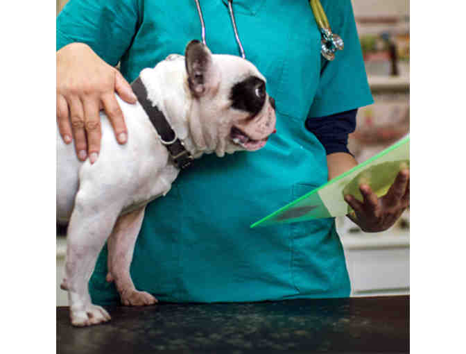 Certificate For Exam and Vaccinations Up To $104 - Greenway Pet Clinic (Tucson only)