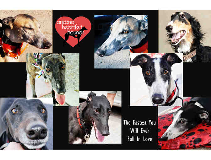 BE A SWEETHEART TO A RETIRED GREYHOUND - DONATE $50 FOR HOUND CARE