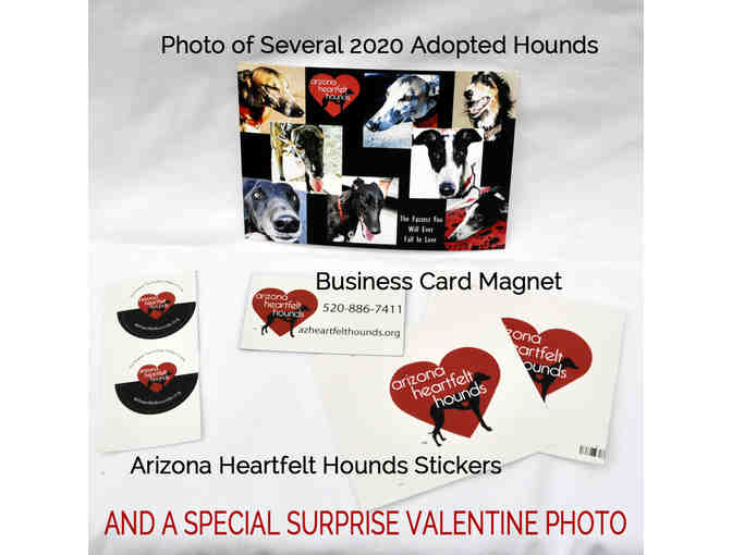 BE A SWEETHEART TO A RETIRED GREYHOUND - DONATE $50 FOR HOUND CARE