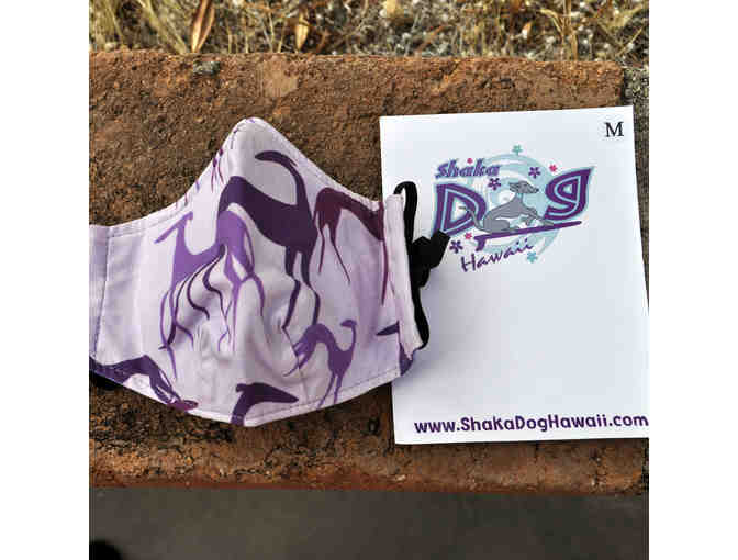 Two New Fitted Masks, 2-Layer With Elastics, Filter Pocket - One Hound & One Butterfly