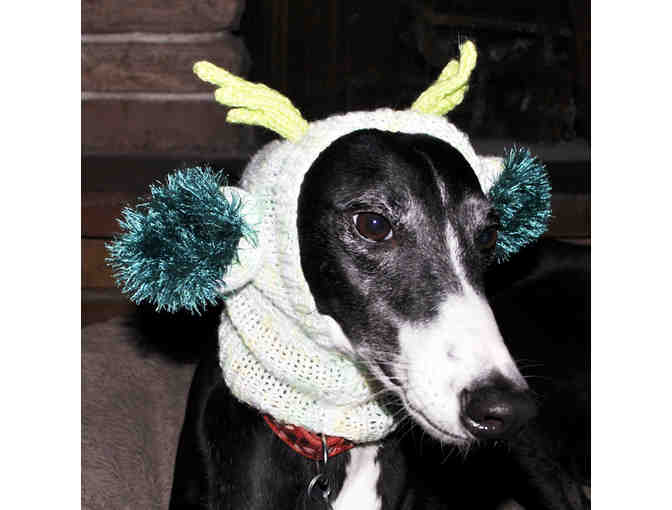 Small Greyhound Hand Knit Reindeer Hat - Green and White