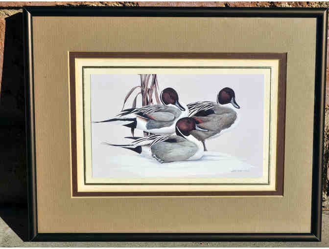Vintage Duck Art Print Pair - Framed - Prints by Art LaMay
