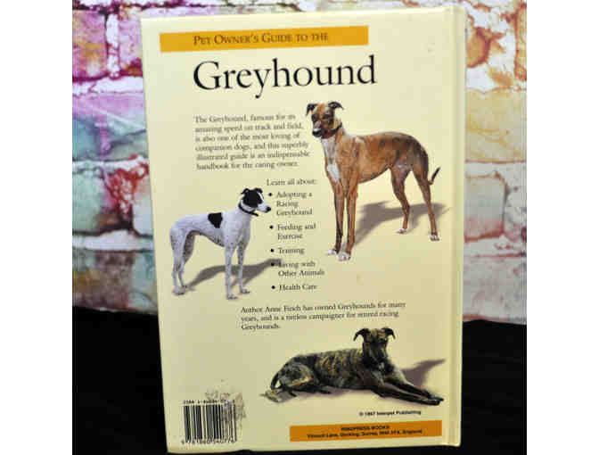 Pet Owner's Guide to the Greyhound by Anne Finch
