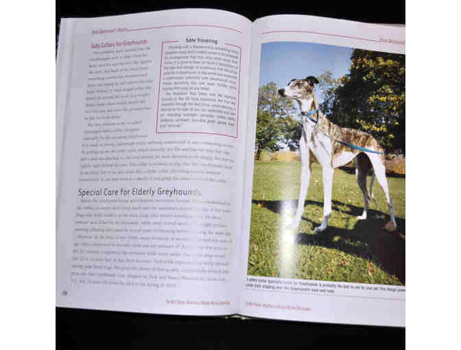 The Best Finish: Adopting A Retired Racing Greyhound by Carolyn Raeke