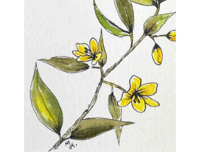 Watercolor - Yellow Flowers On Vine - Matted/Unframed - Original by Marlene Koch