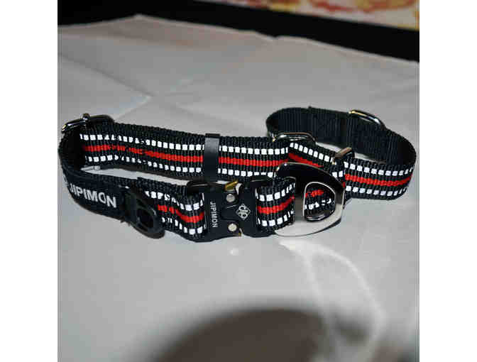 JIPIMON Martingale Dog Collar Reflective Nylon Collar - 1' - Black and Red