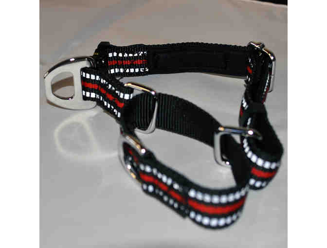 JIPIMON Martingale Dog Collar Reflective Nylon Collar - 1' - Black and Red