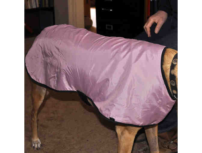 Polar Fleece/Ultrex Dog Jacket - Pink