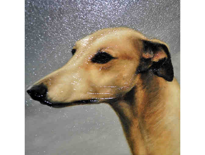 Greyhound On A Parkland Landscape by Christine Merrill - Giclee Canvas Print Framed