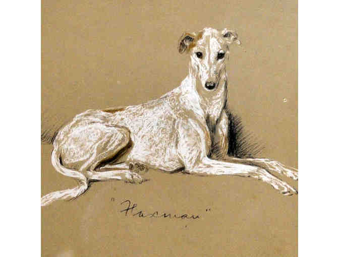 'Flaxman' - Framed Print - 1937 Greyhound Racing Dog by Lucy Dawson