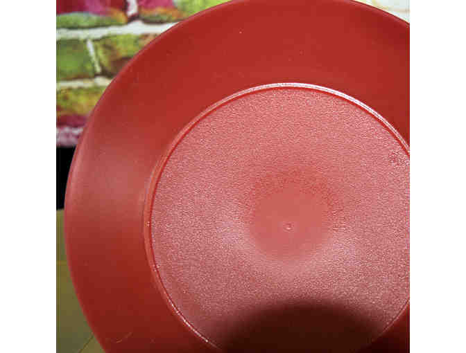 Translucent Plastic Plates, Set of 6