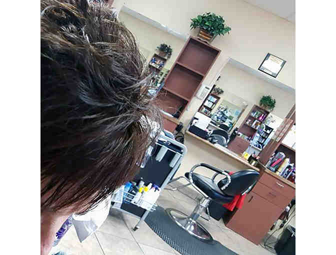 Gift Certificate for One Complimentary Cut and Style with Michele Torre, Hairstylist