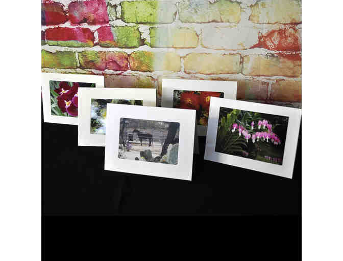 Note Cards (5) With Original Southwest Themed Color Photos - Blank Inside