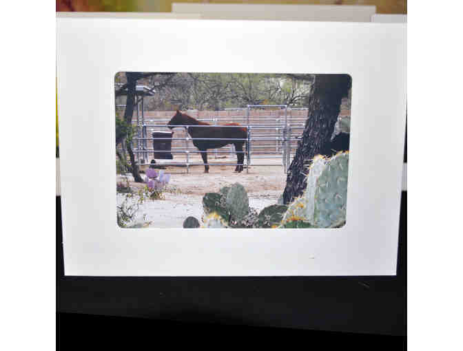 Note Cards (5) With Original Southwest Themed Color Photos - Blank Inside