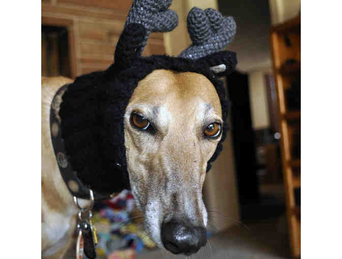 Hand Knit Reindeer Hat - Grey and Black