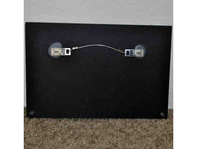 Praying Mantis - Original Photo On Composite Board