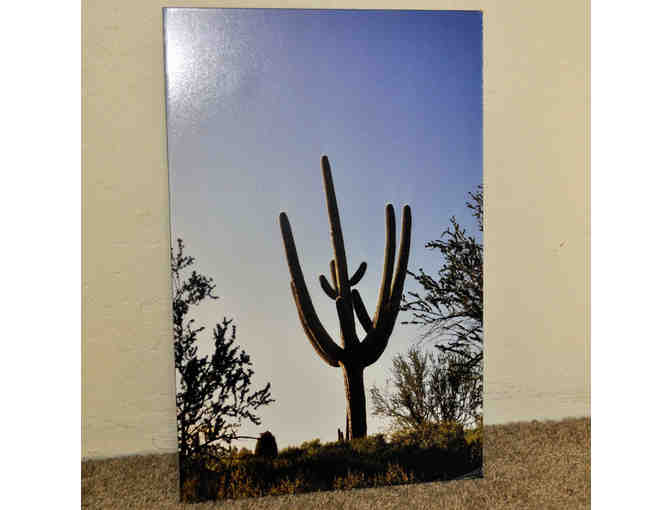 Saguaro - Original Photo On Composite Board