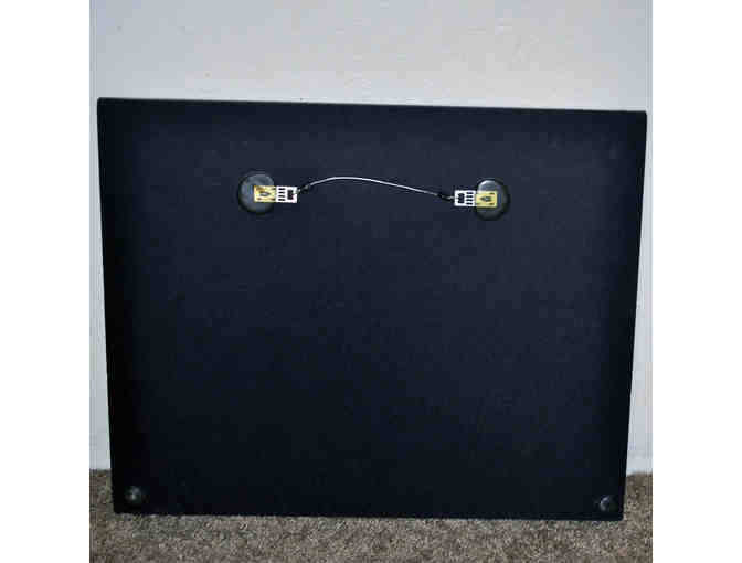 Tall Tree - Original Photo On Composite Board