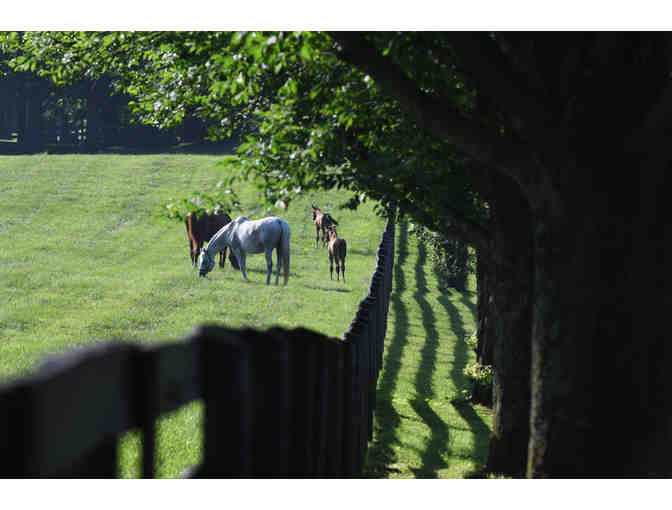 Once In A Lifetime For You And Your Entourage